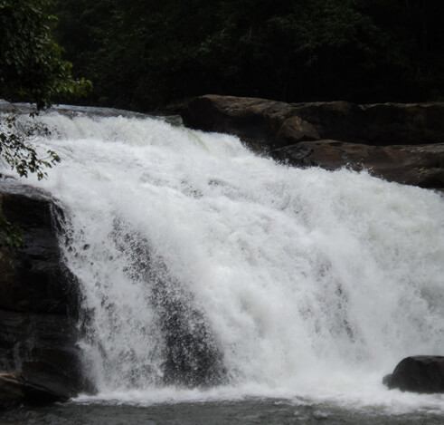 Thommankuthu Waterfalls Idukki, Kerala