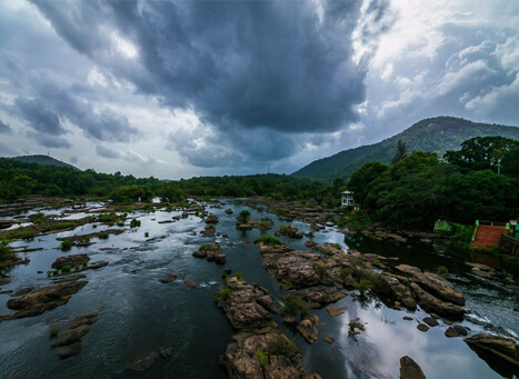 Thumboormuzhi Dam and Butterfly Park Kerala