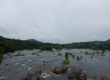 Butterfly Park, Athirapally