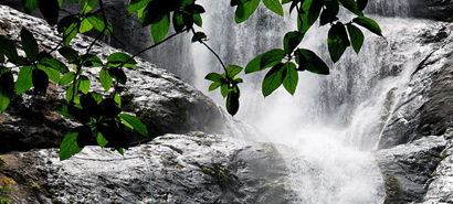 Top Tourist Attractions Kollam