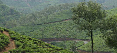 Top Tourist Attractions Periyar