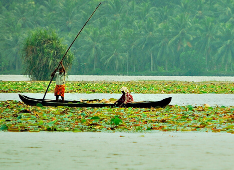 Vellayani Lake Kovalam, Kerala