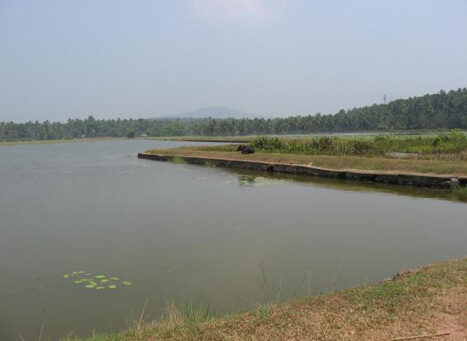 Vellayani Lake Trivandrum