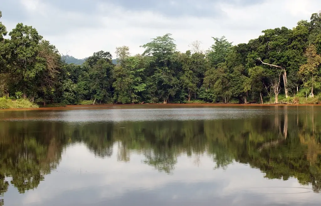 Nagzira Wildlife Sanctuary 