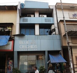 Blue Orchids Executive