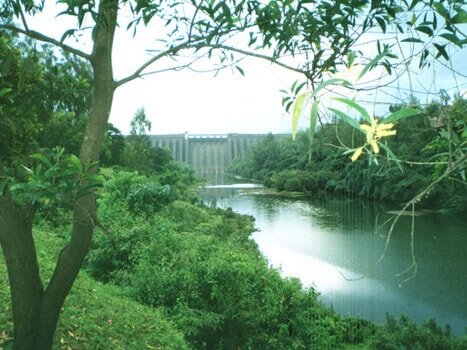 Koyna Wildlife Sanctuary Satara
