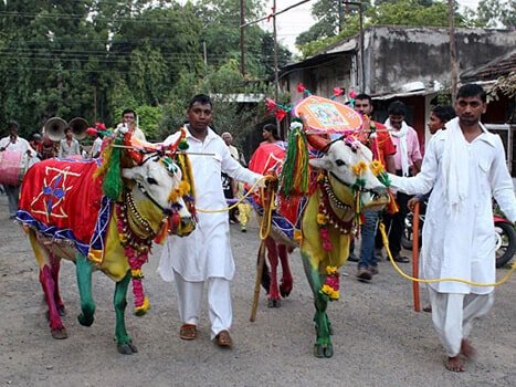 Pola Festival