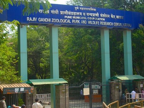Rajiv Gandhi Zoological Park Pune Maharashtra