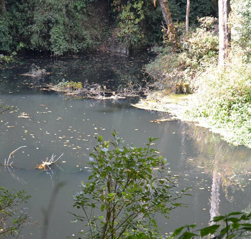 Dzudu Lake, Nagaland