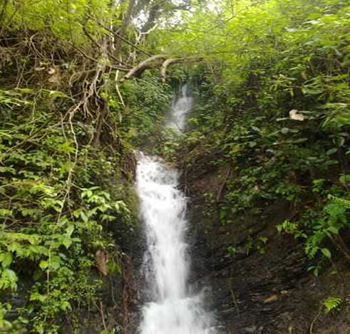 Phek Waterfall, Nagaland