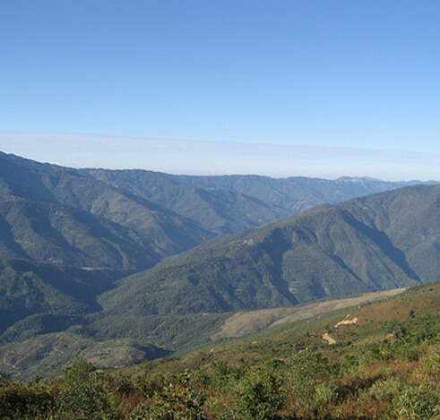 Satoi Range Sanctuary, Nagaland