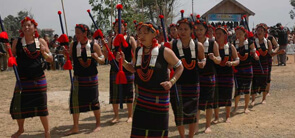 Tokhu Emong Festival, Nagaland