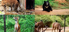 Zoological Park, Dimapur