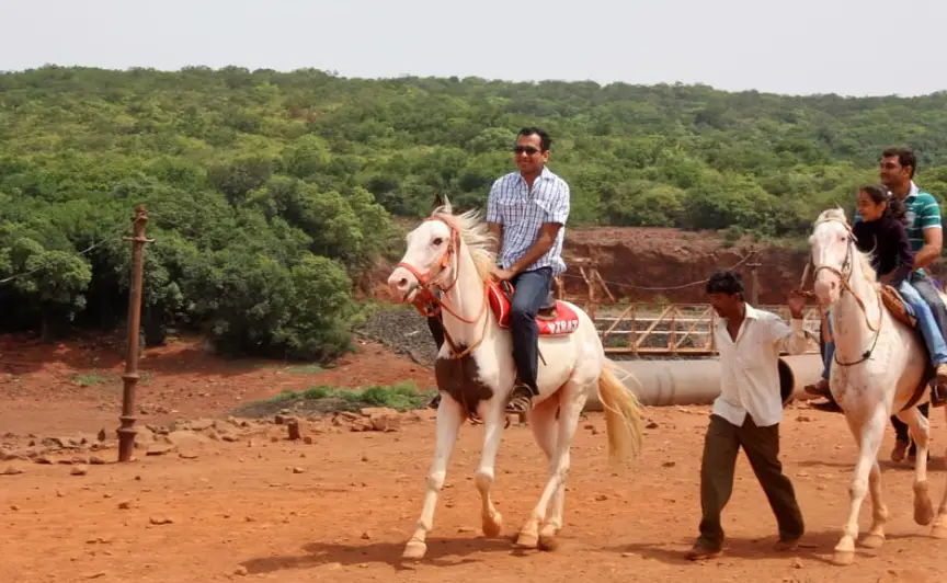 Rajasthan Horse Safari