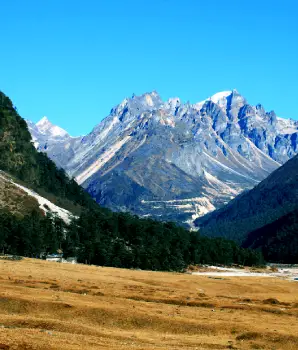 Yumthang Valley Guide