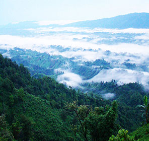 famous tourist attractions of tripura