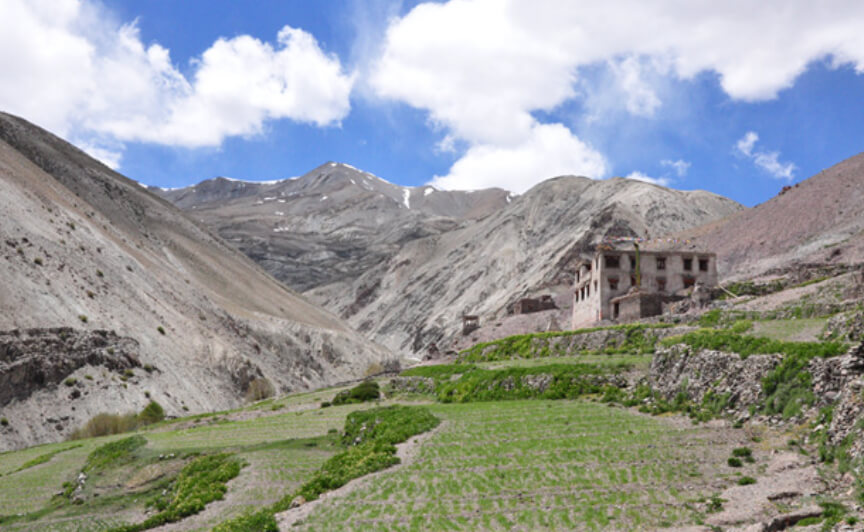 markha valley trek ladakh india