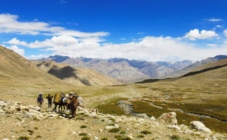 Nubra Valley Trek  Nubra Valley Trekking Tour Package Ladakh