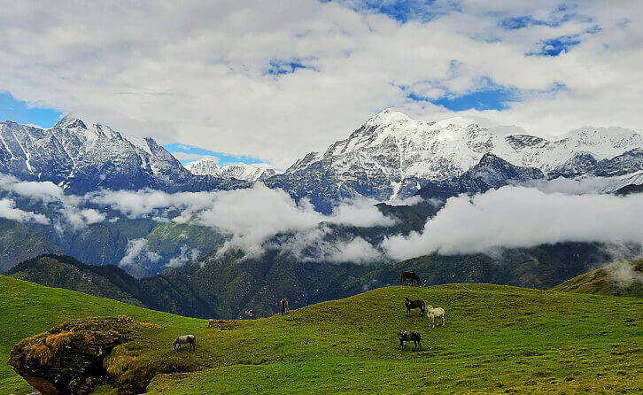 Monal Trek Chamoli Garhwal