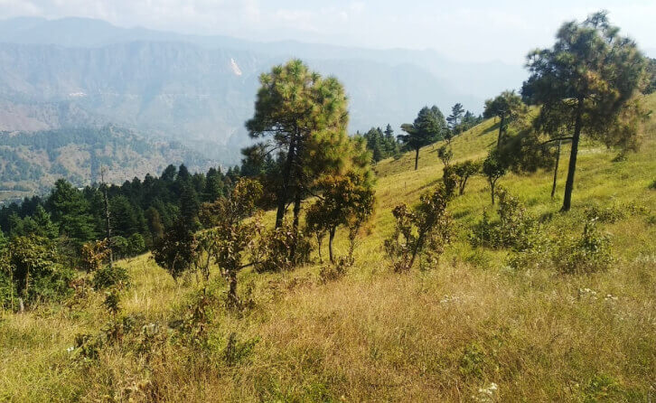 Rashi Bugyal Trek Jagtoli Rudraprayag