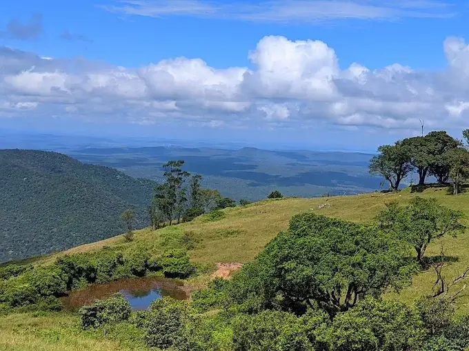 Bandipur National Park 
