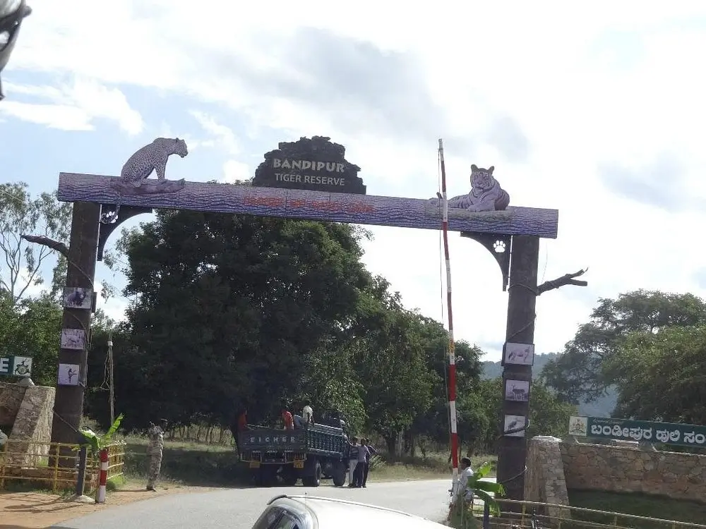 Bandipur National Park