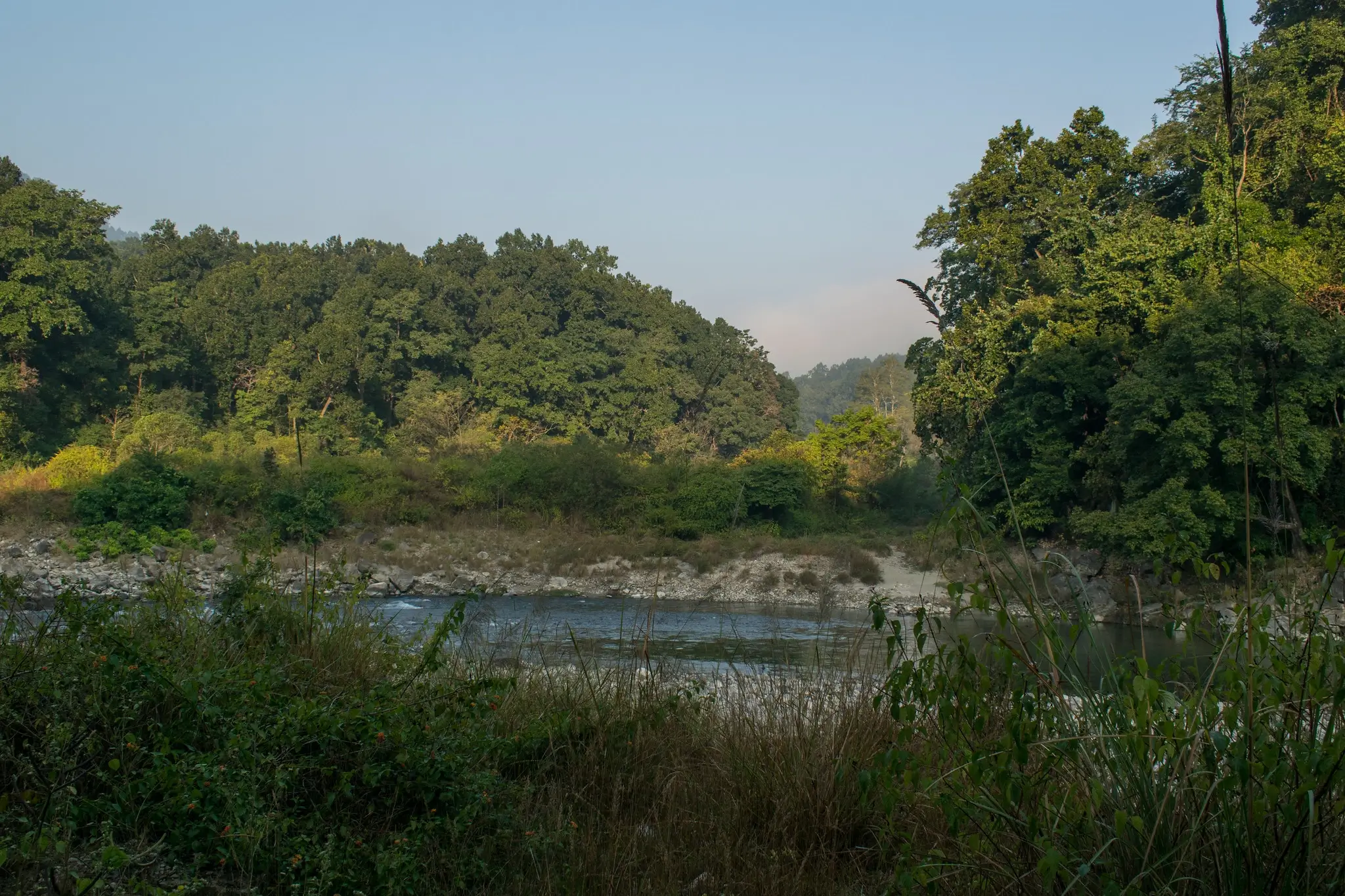 Overnight Jim Corbett Tour Package