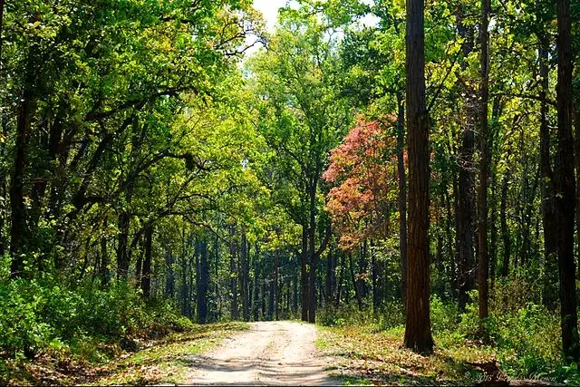 Kanha National Park 