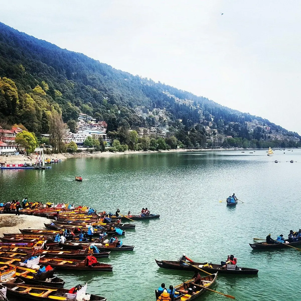 Nainital 