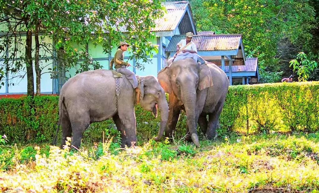 Namdapha National Park 