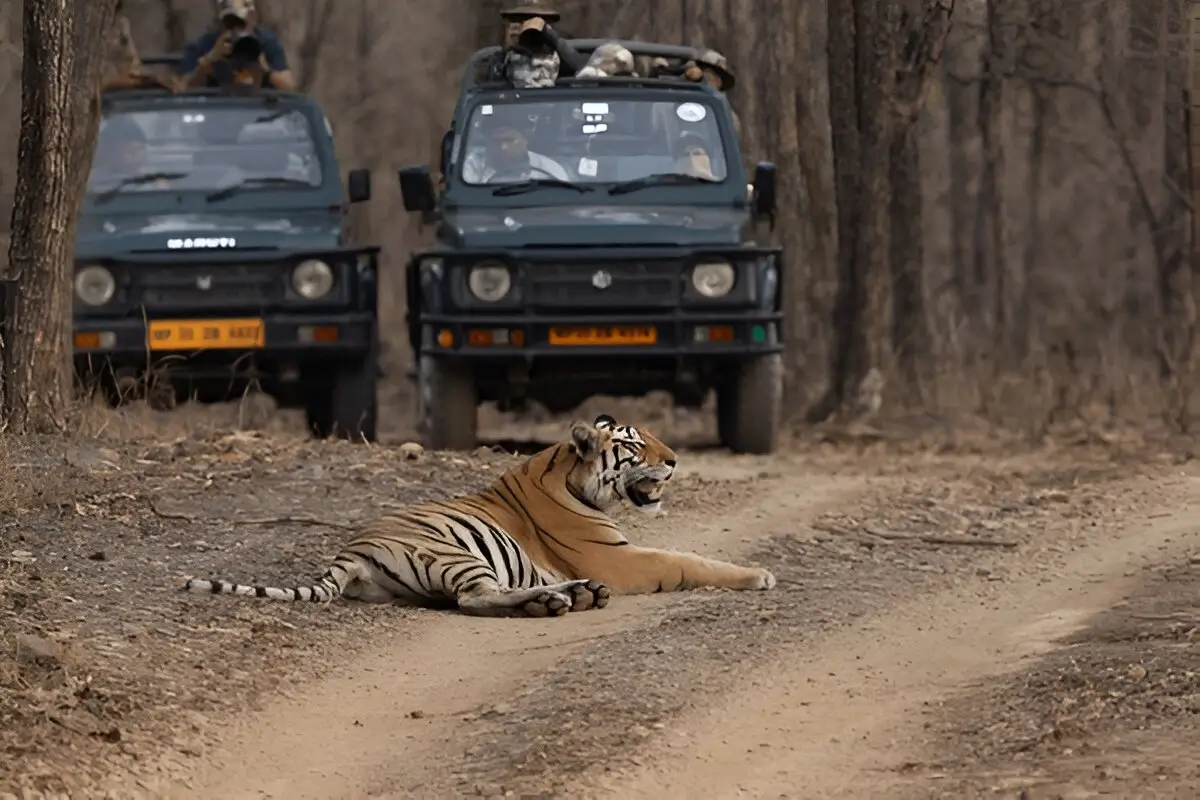 Panna National Park Weekend Tour