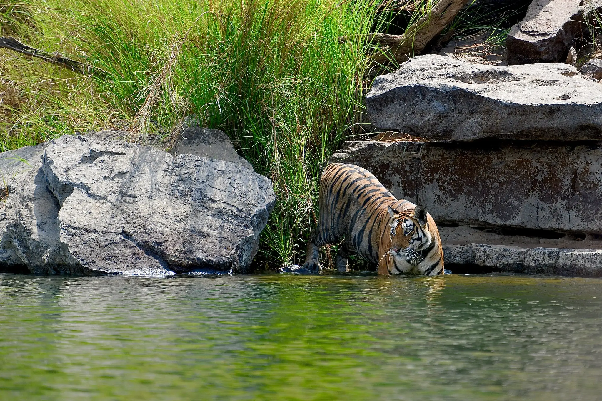 Panna National Park 