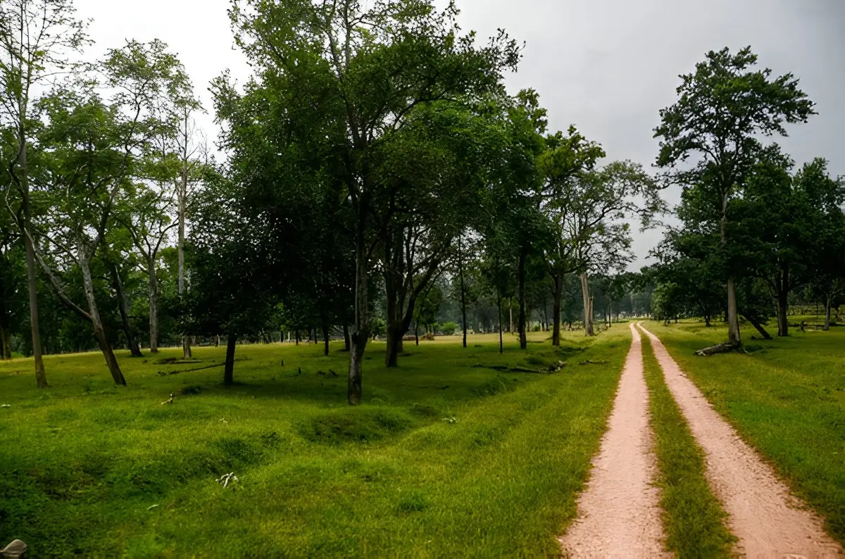 Pench National Park