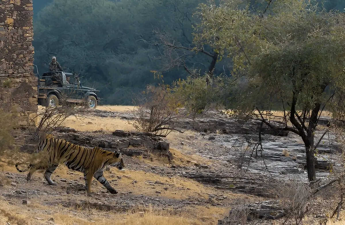 Satpura National Park 