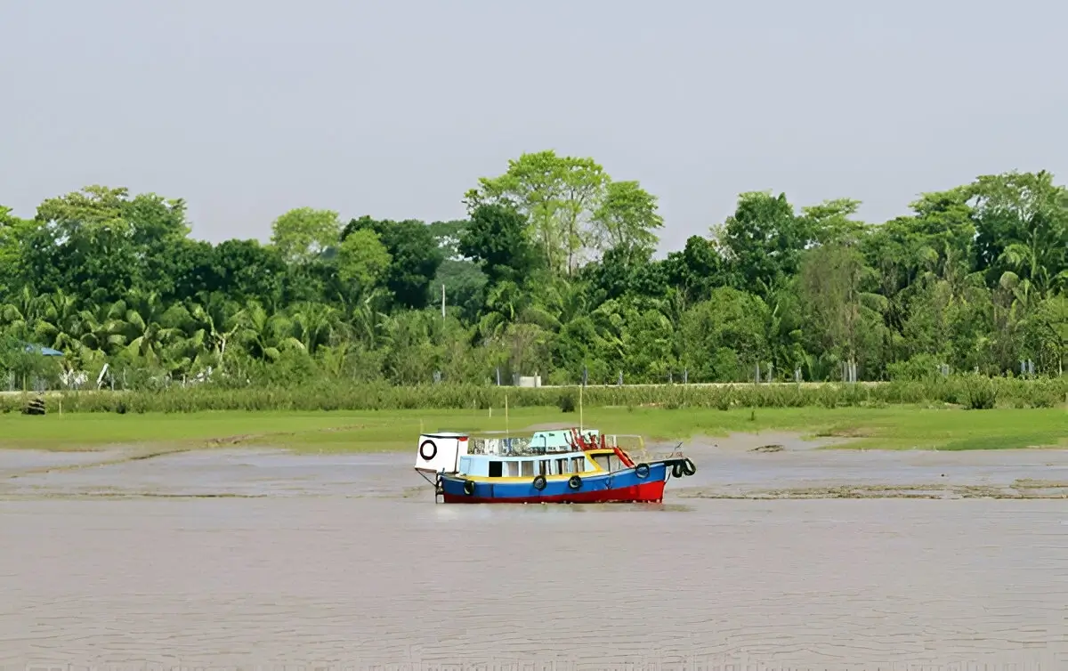 Sunderban National Park 