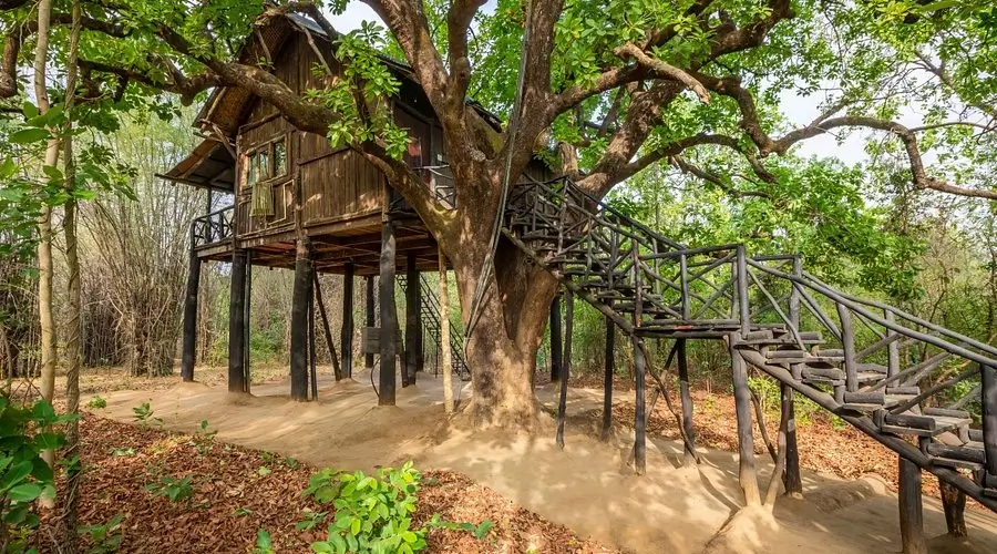 Tree House Hideaway