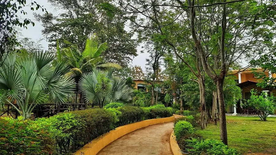 The Wildflower Resort