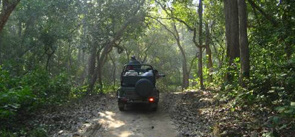 Sitabani Safari Zone